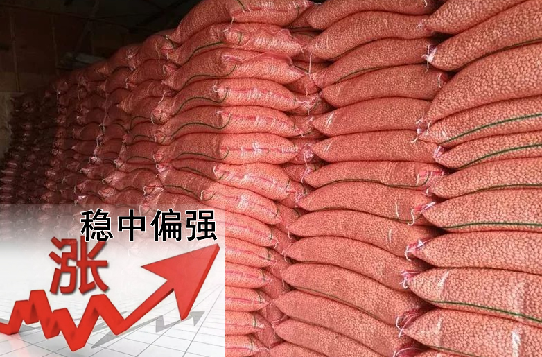 花生價(jià)格持續(xù)偏強(qiáng)，需要訂貨的請?zhí)崆鞍才?></a></div>
                        <div   id=